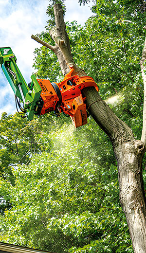 Extreme Sports Mountain Climbing